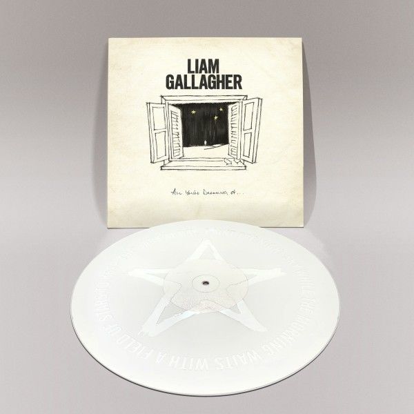 All You're Dreaming Of: Limited White Vinyl 12" Single