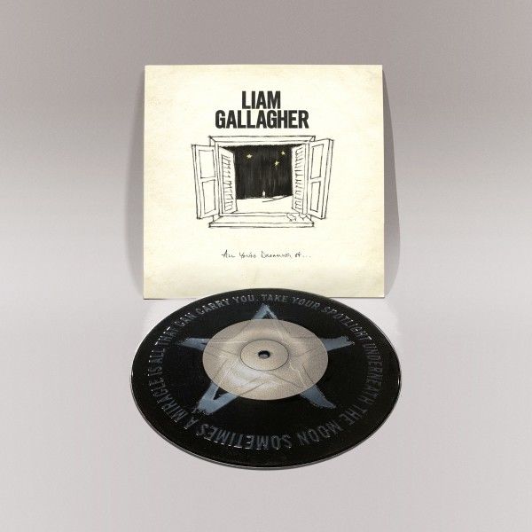 All You're Dreaming Of: Limited Vinyl 7" Single