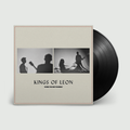 When You See Yourself: Vinyl LP