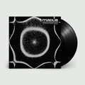 Sound Ancestors (Arranged By Kieran Hebden): Vinyl LP