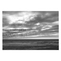 Tonic Immobility: 180gm Gatefold Vinyl LP