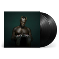 Heavy Is The Head: Vinyl 2LP