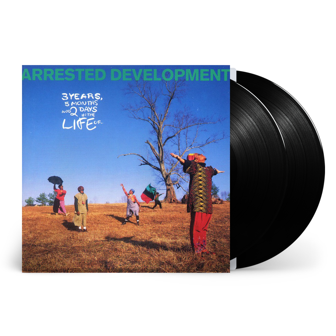 3 Years 5 Months 2 Days In The Life Of... Vinyl 2LP