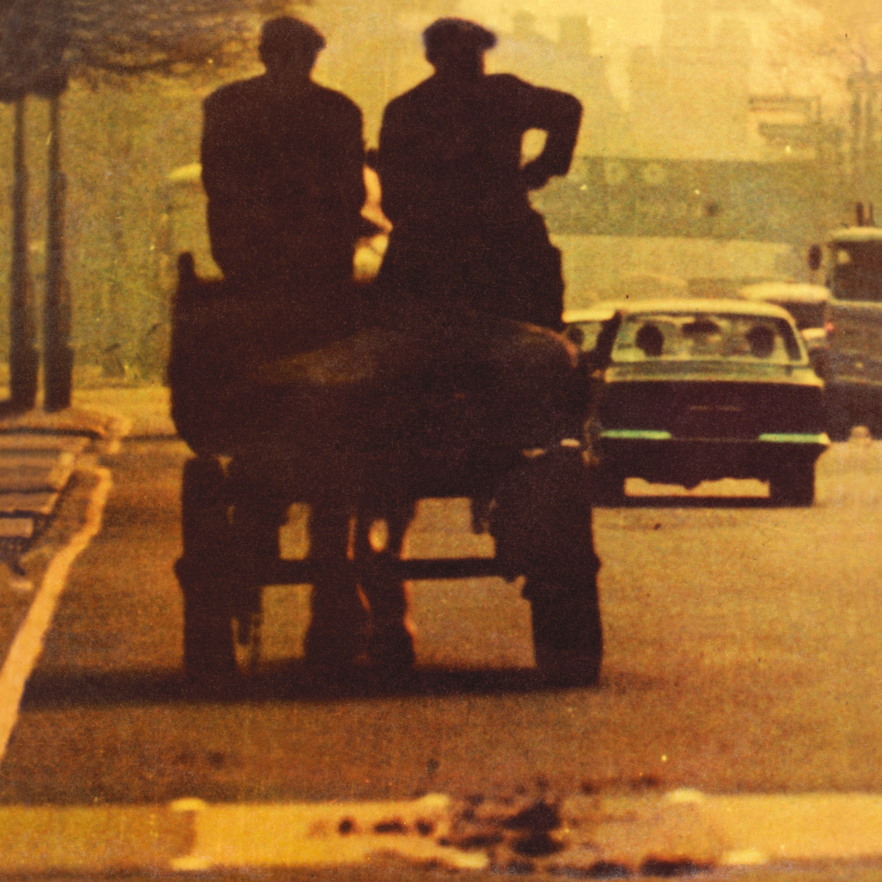 Anymore For Anymore: Vinyl LP