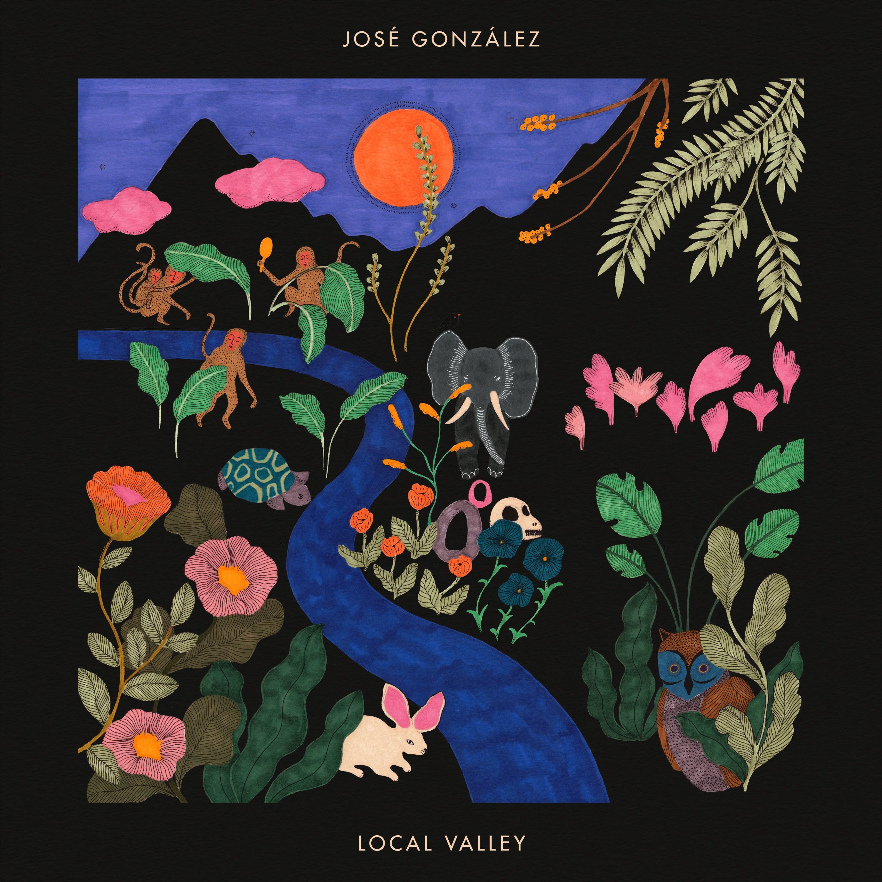 Local Valley: CD