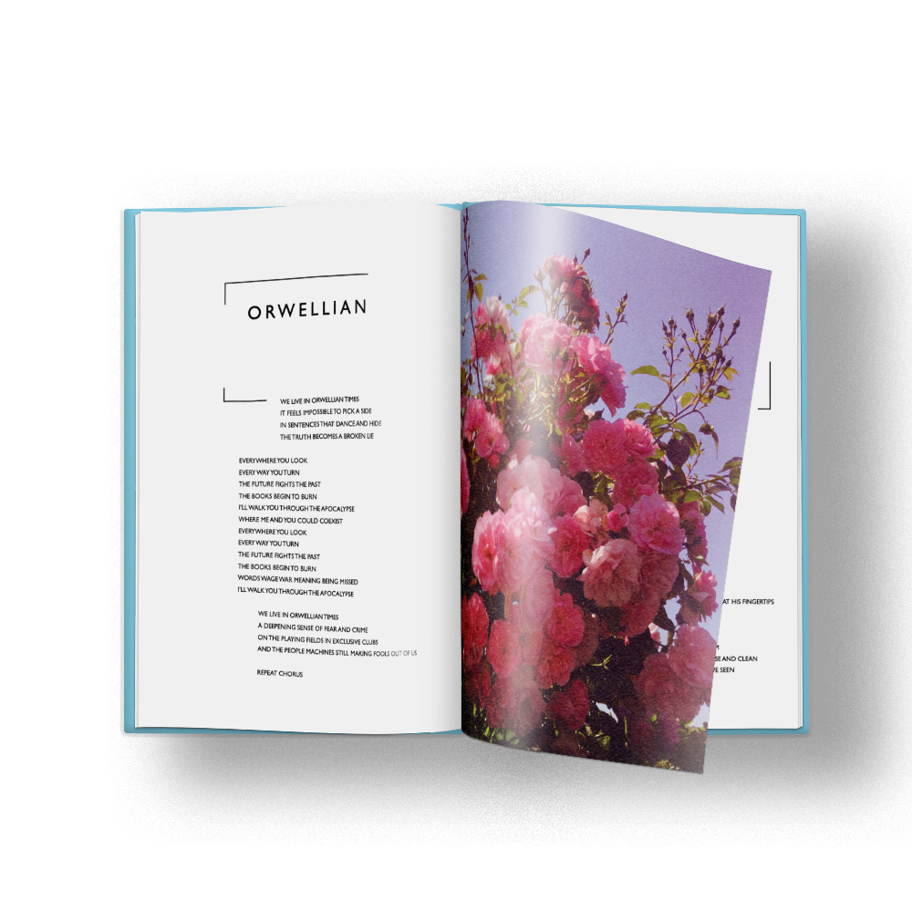 The Ultra Vivid Lament: Deluxe CD