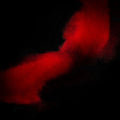 Dancing Into Oblivion: CD