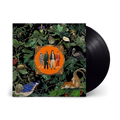 Amazing Things: Vinyl LP
