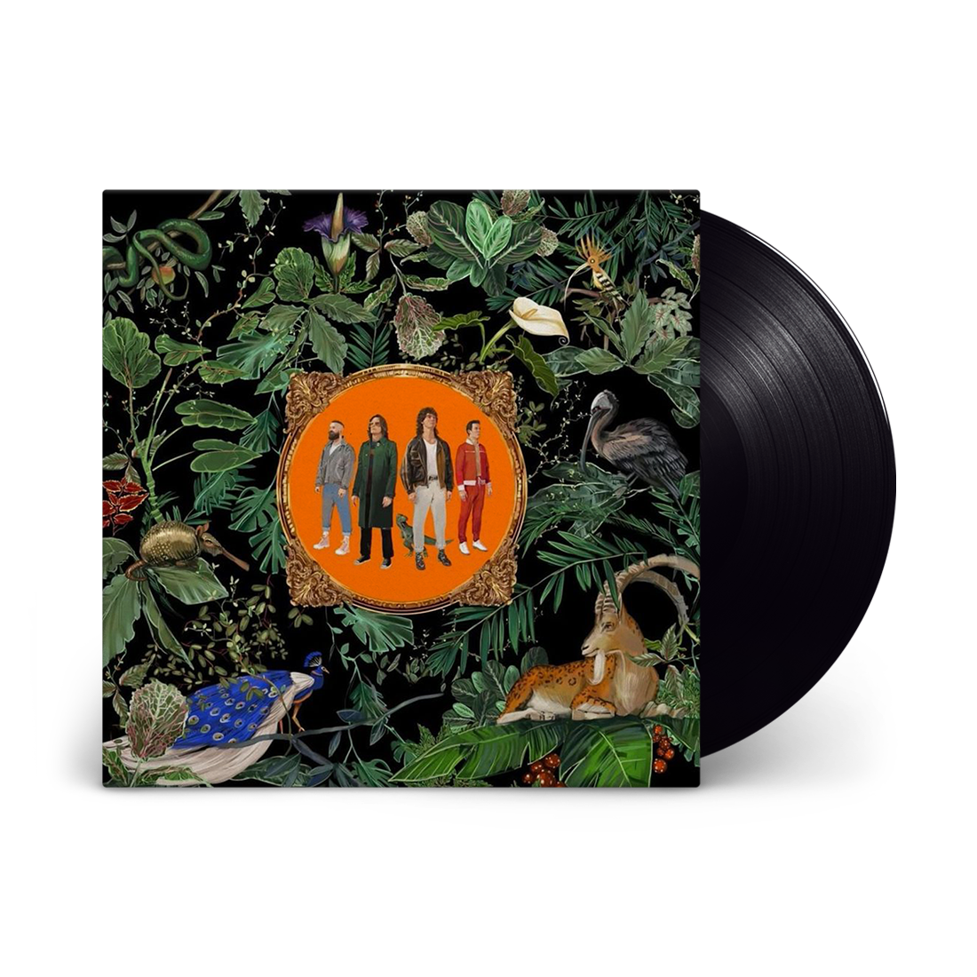 Amazing Things: Vinyl LP