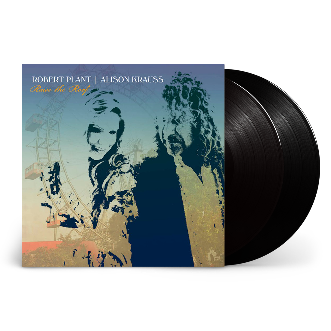 Raise The Roof: Vinyl 2LP