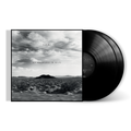 New Adventures In Hi-Fi (25th Anniversary Edition): Vinyl 2LP