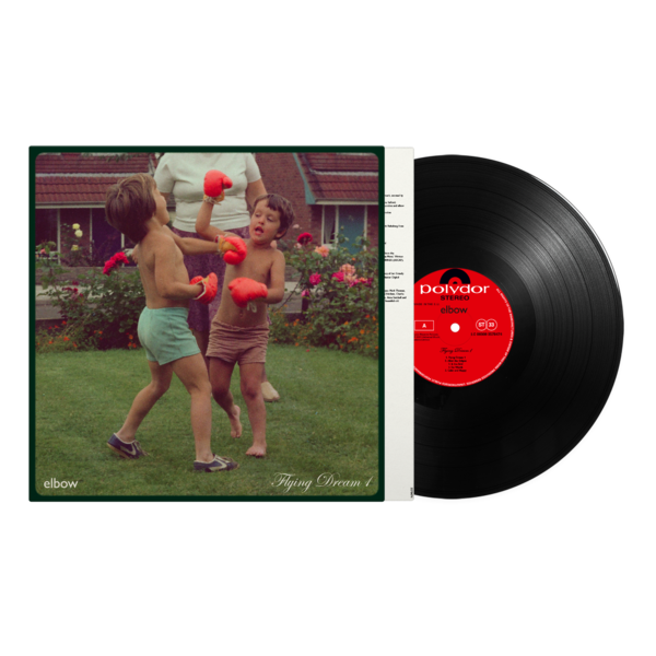Flying Dream 1: Vinyl LP