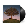 Tyron: Vinyl LP