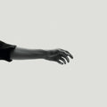 Limbs: CD