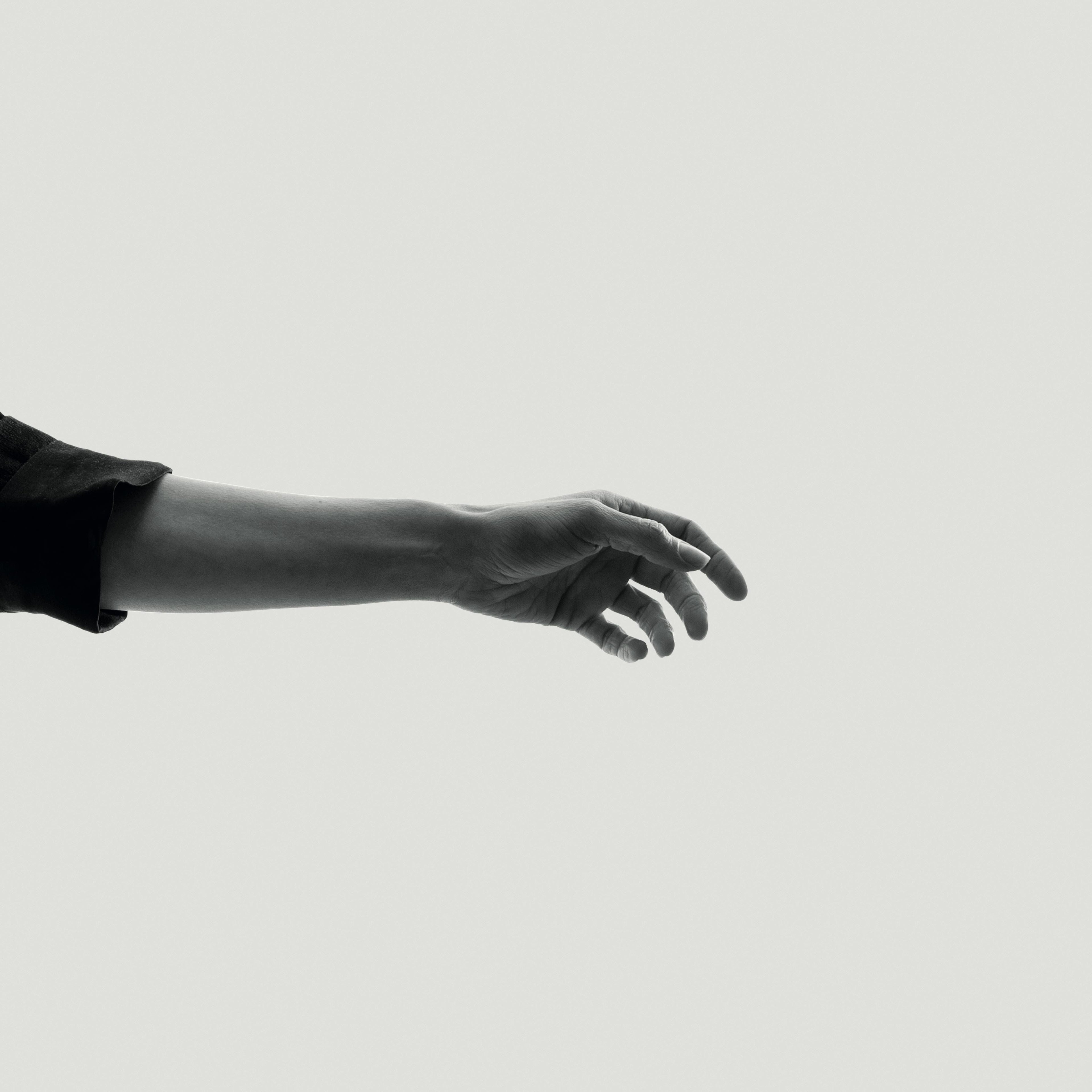 Limbs: CD