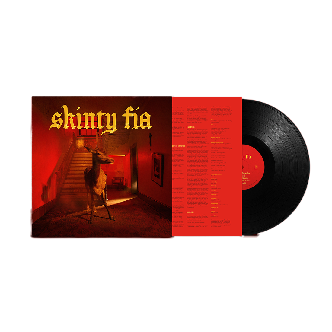Skinty Fia: Vinyl LP