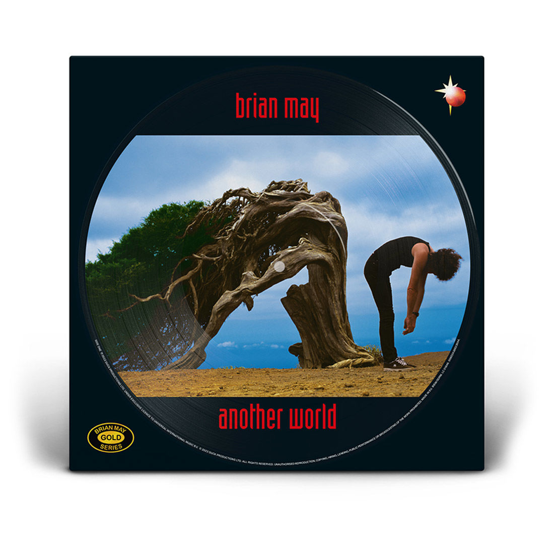 Another World Picture Disc