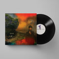 We've Been Going About This All Wrong: Vinyl LP