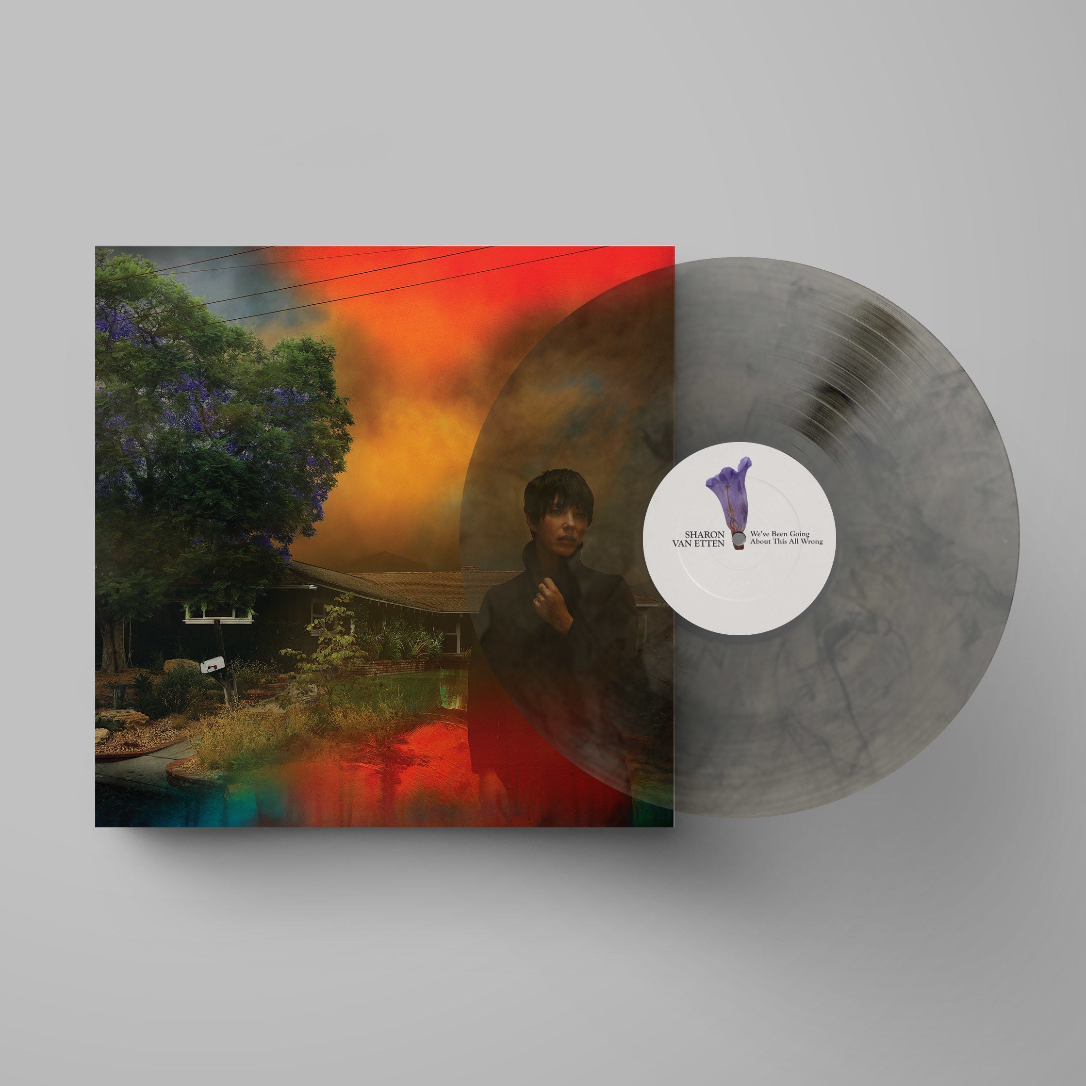 We've Been Going About This All Wrong: Limited Edition Marble Smoke LP
