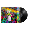 When The Wind Forgets Your Name: Vinyl LP