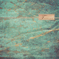 Patina: Limited Edition Duck Egg Vinyl LP