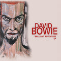 Brilliant Adventure: Vinyl LP