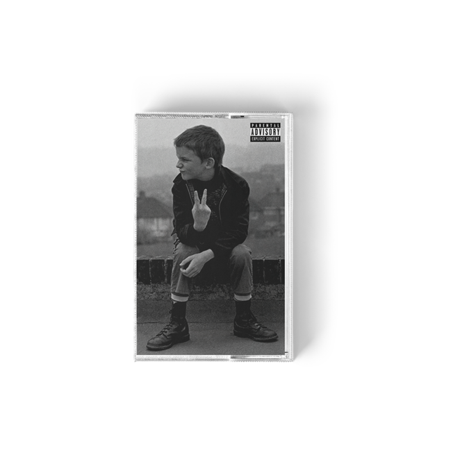 Vandals: Cassette