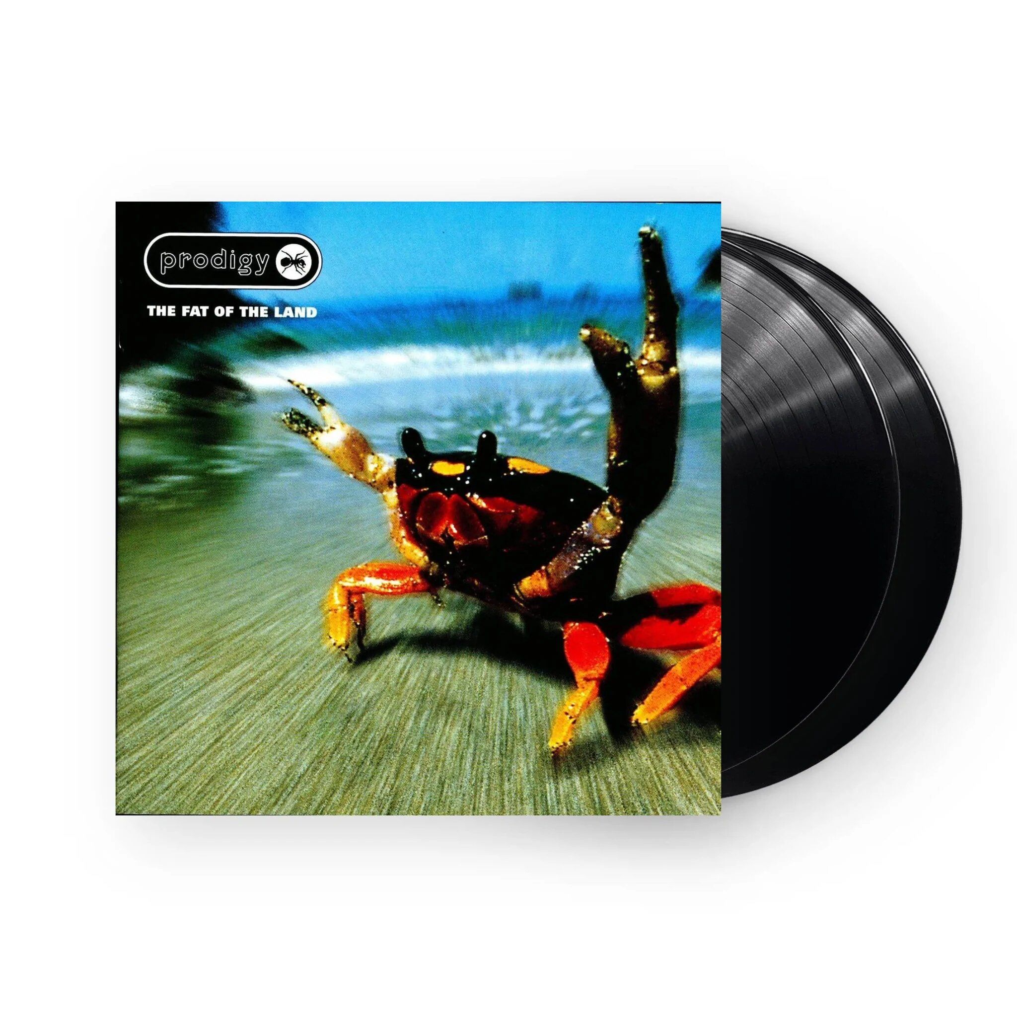 The Fat Of The Land: Vinyl LP