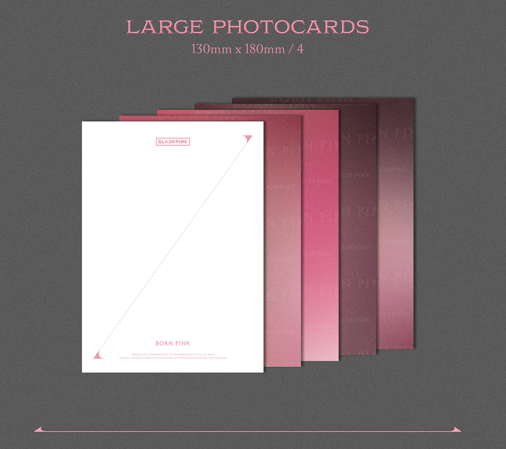 BORN PINK: Exclusive Box Set (Pink Complete Edition﻿﻿)