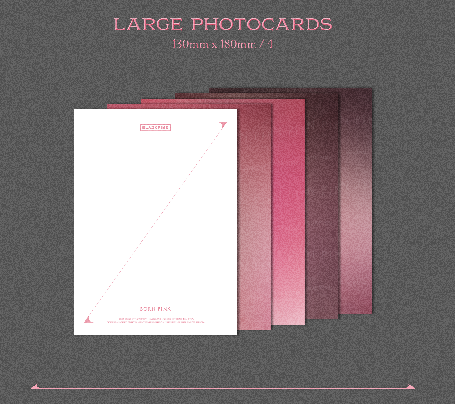BORN PINK: Exclusive Box Set (Pink Complete Edition﻿﻿)