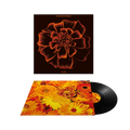 All Souls: Half-Speed Master Vinyl LP