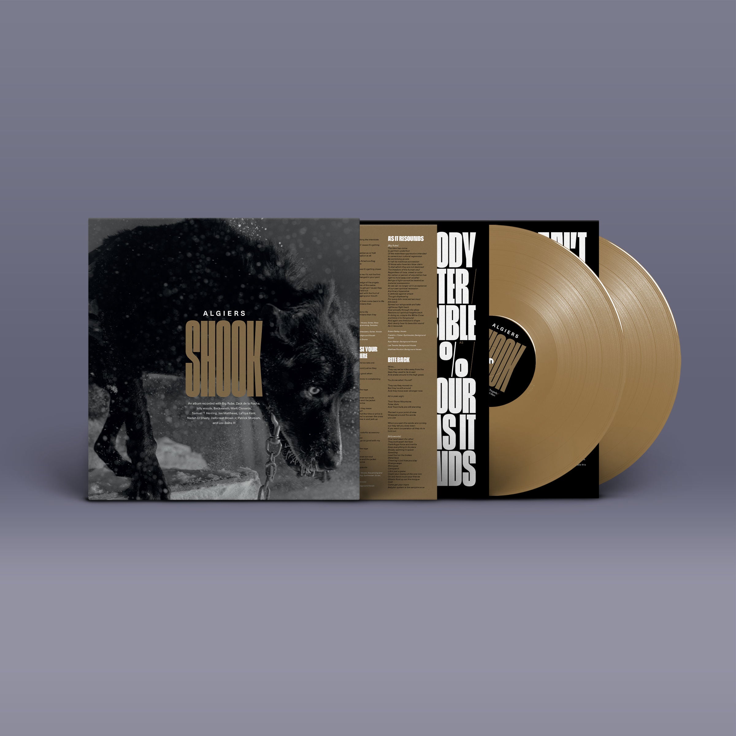 Shook: Limited Gold Vinyl 2LP