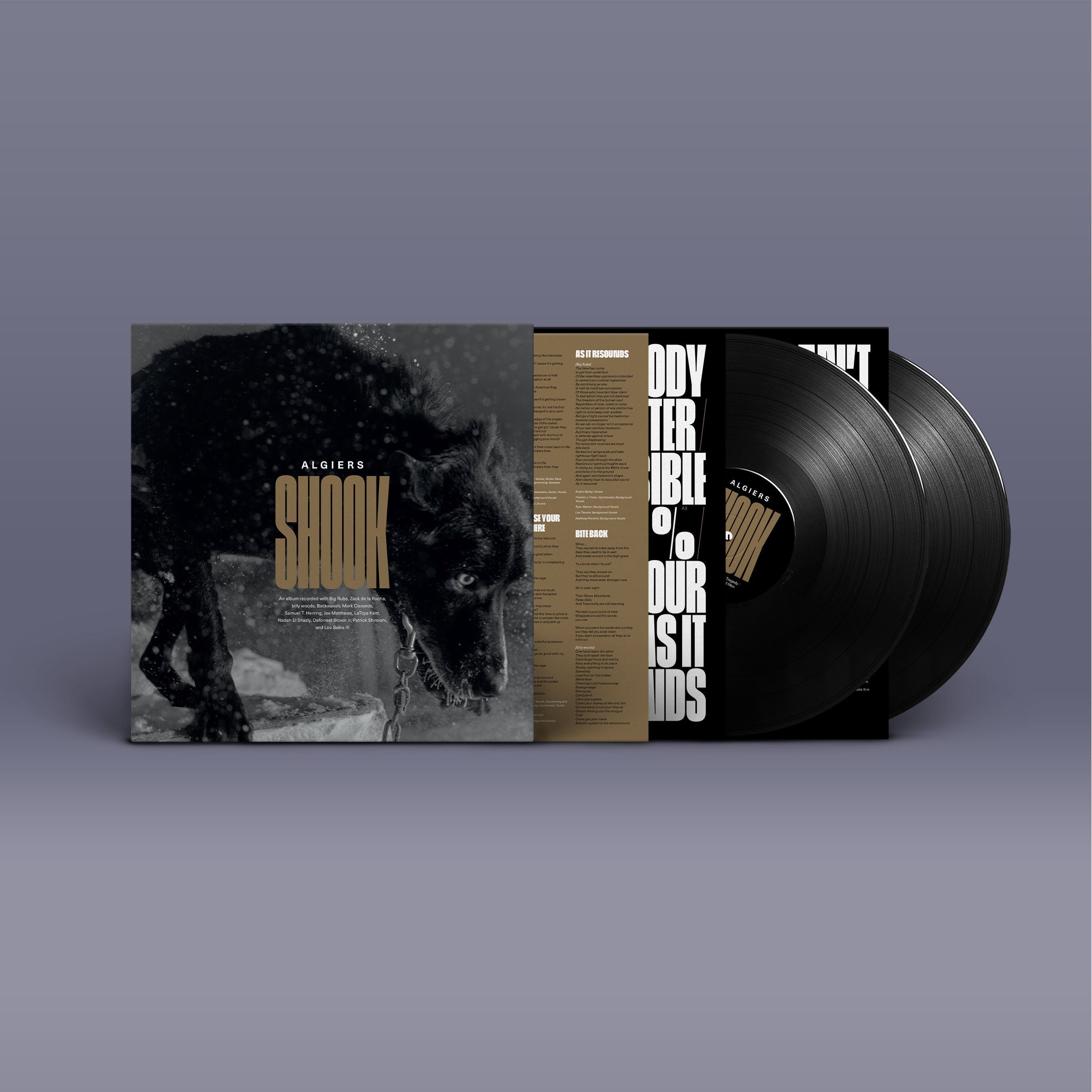 Shook: Vinyl 2LP
