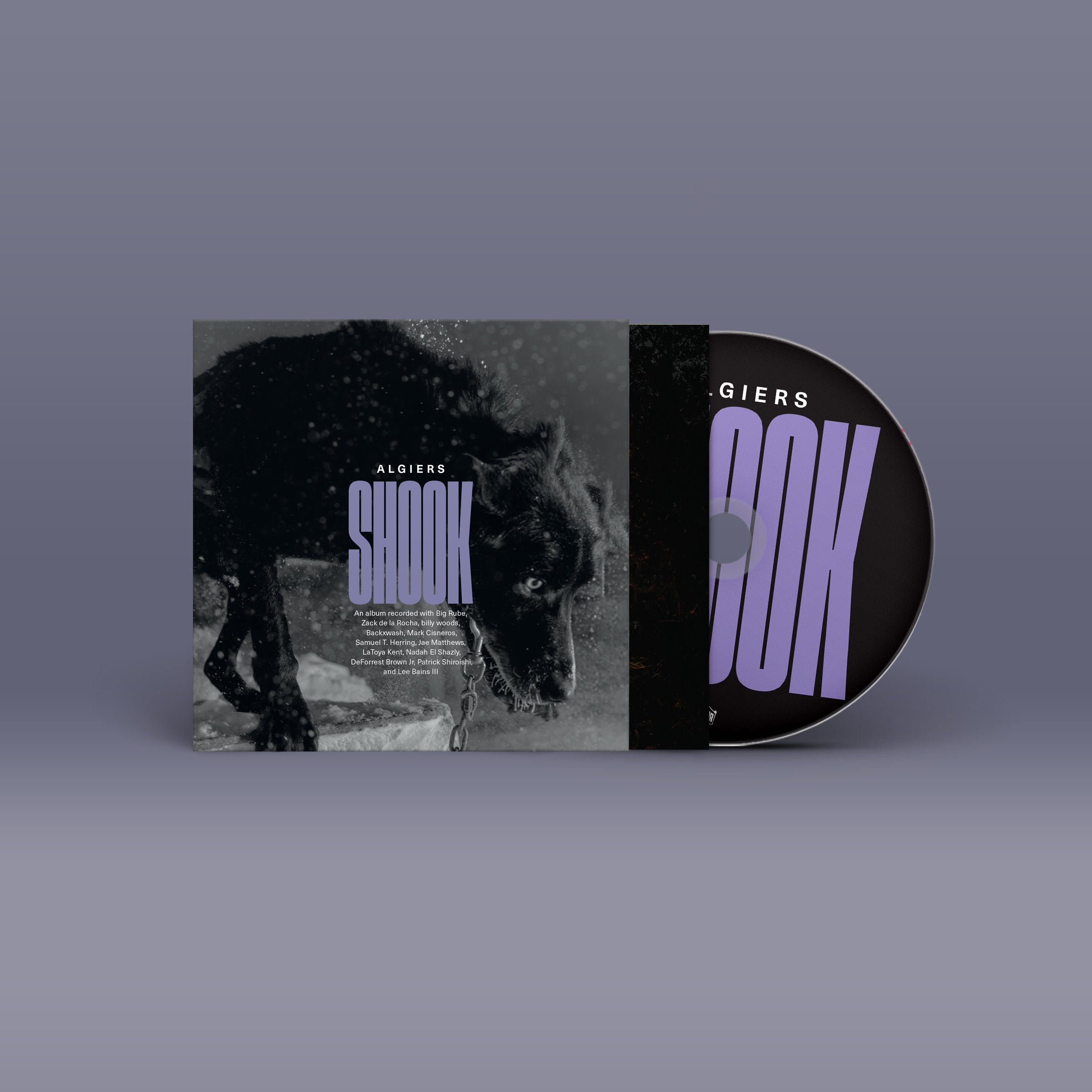 Shook: CD