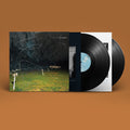 This Stupid World: Limited Edition Vinyl 2LP