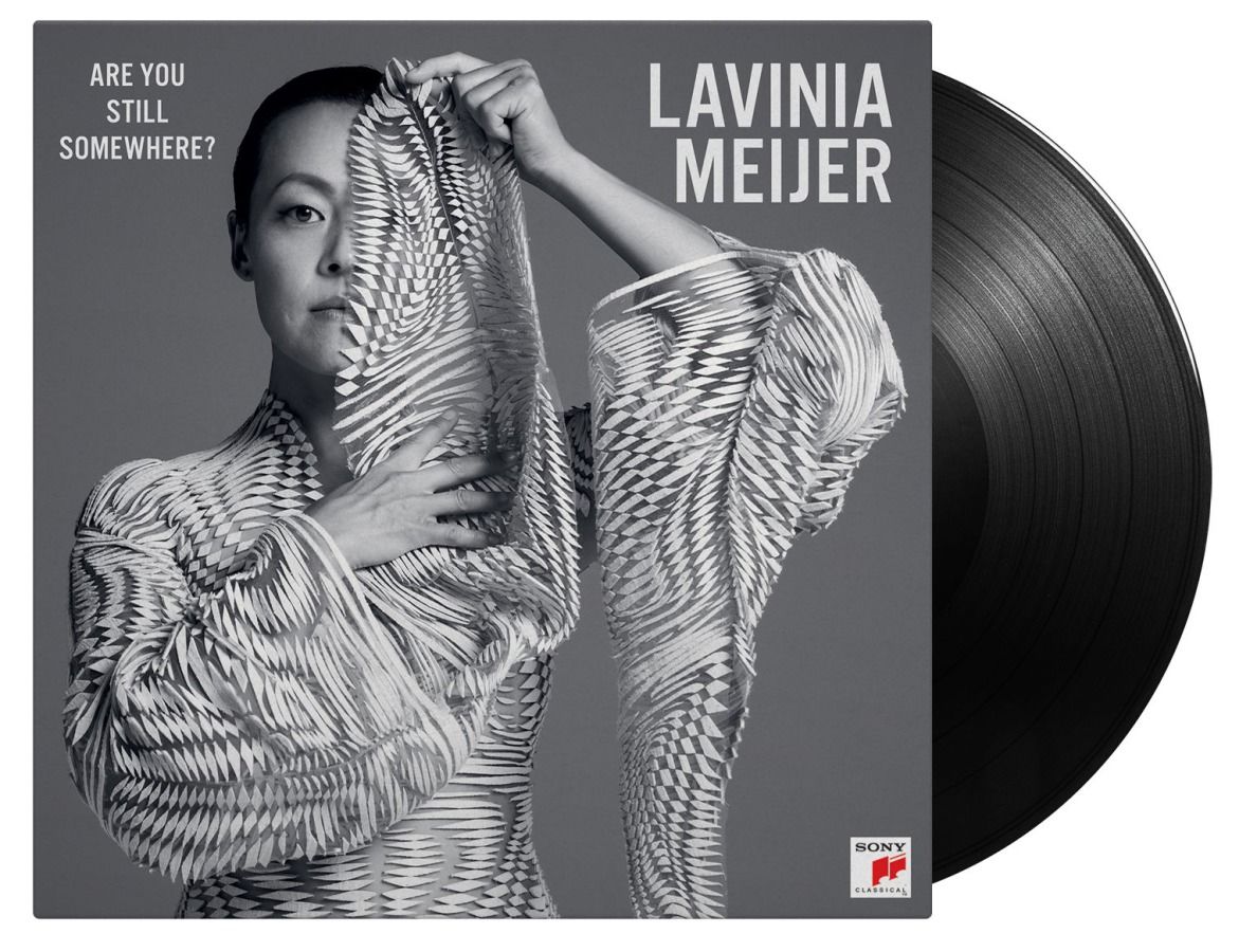 Are You Still Somewhere?: Vinyl LP.