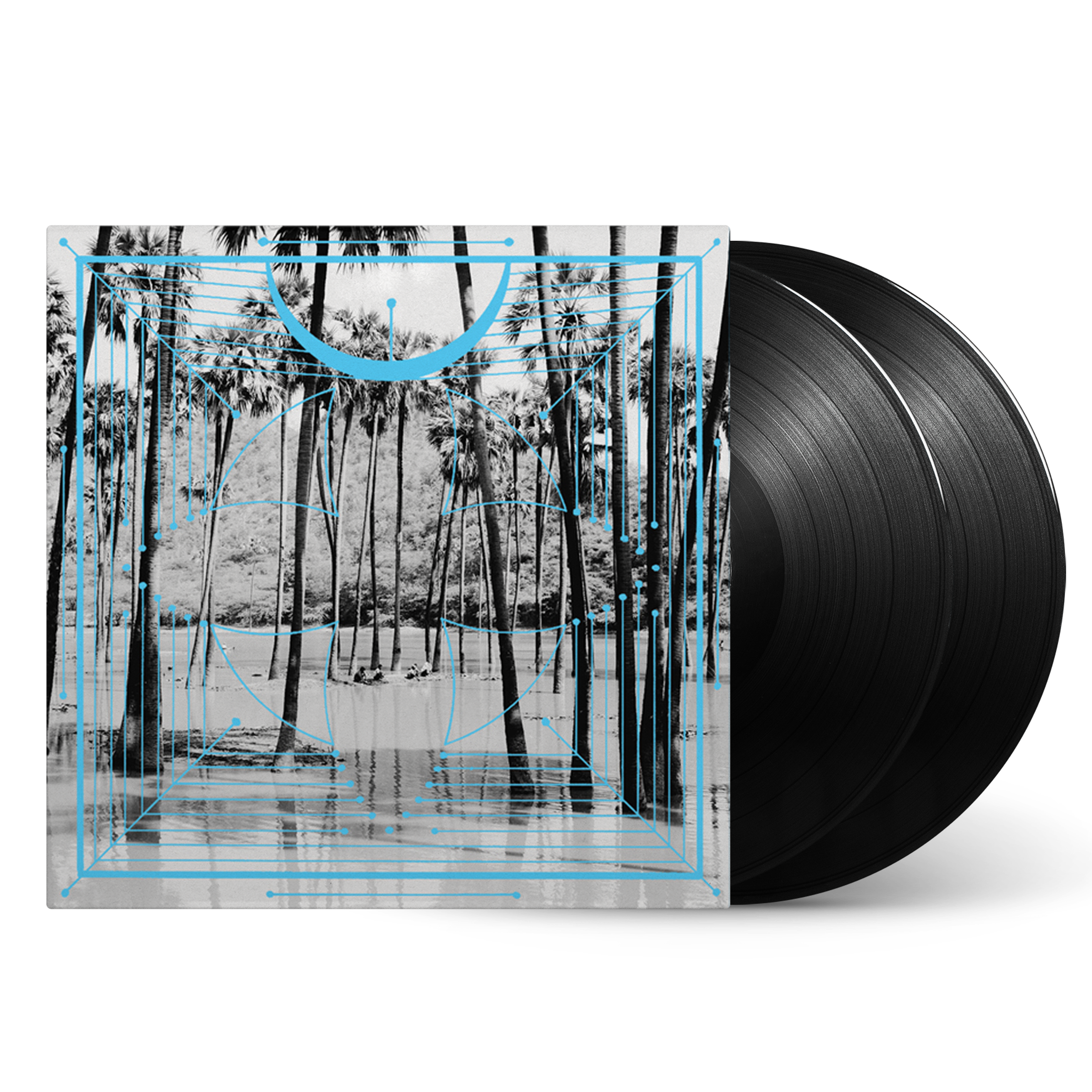 Pink: Vinyl 2LP