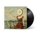 In the Aeroplane Over the Sea: Vinyl LP