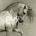 Arabian Horse: Vinyl 2LP