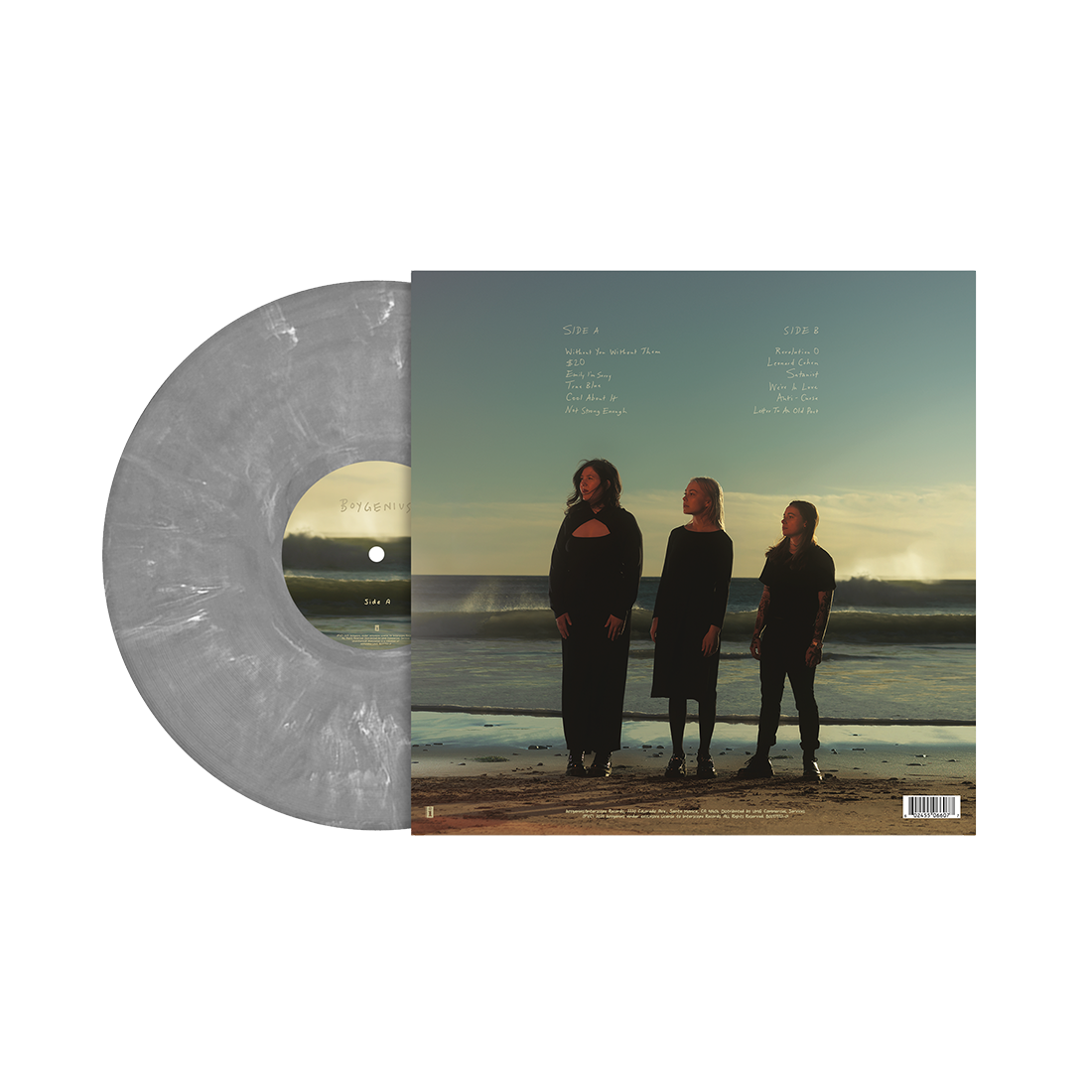 the record vinyl lp [Itd-edition silver vinyl]