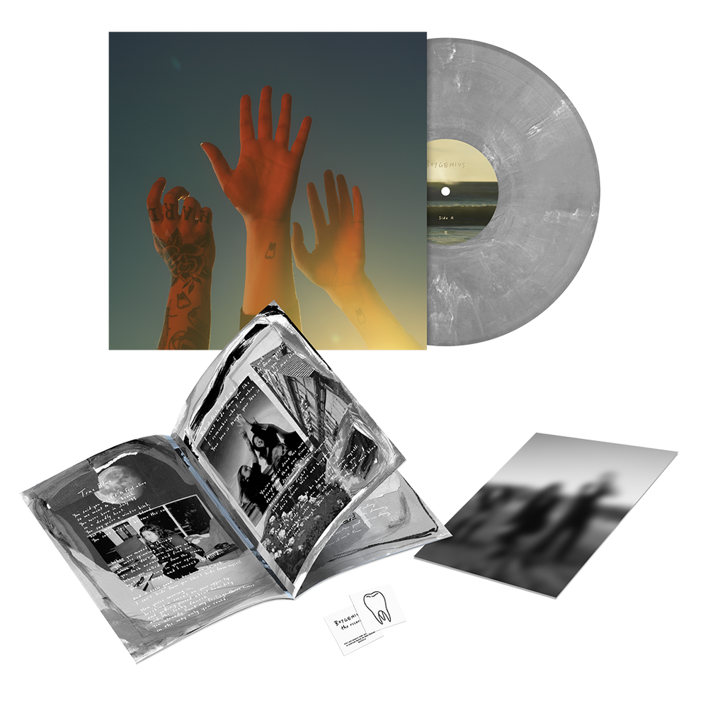 the record vinyl lp [Itd-edition silver vinyl]