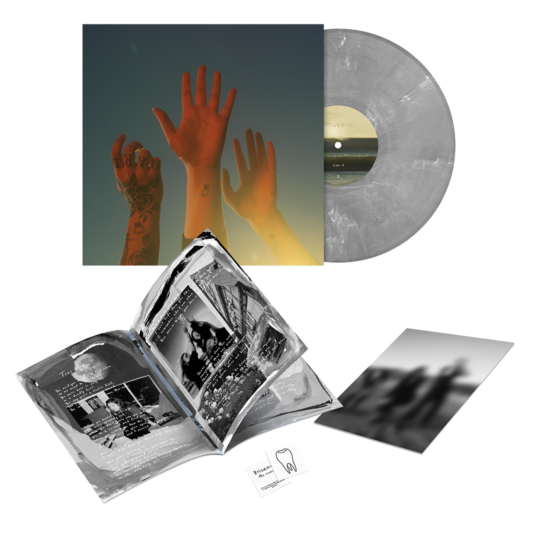 the record vinyl lp [Itd-edition silver vinyl]