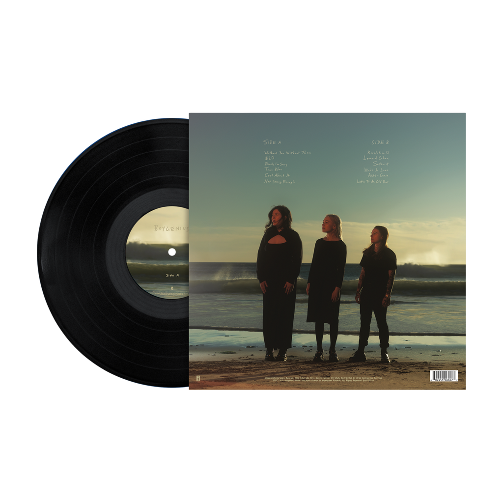 the record vinyl lp [black vinyl]