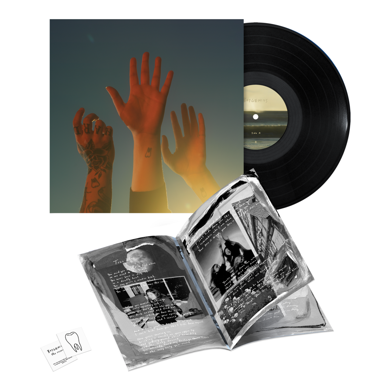 the record vinyl lp [black vinyl]