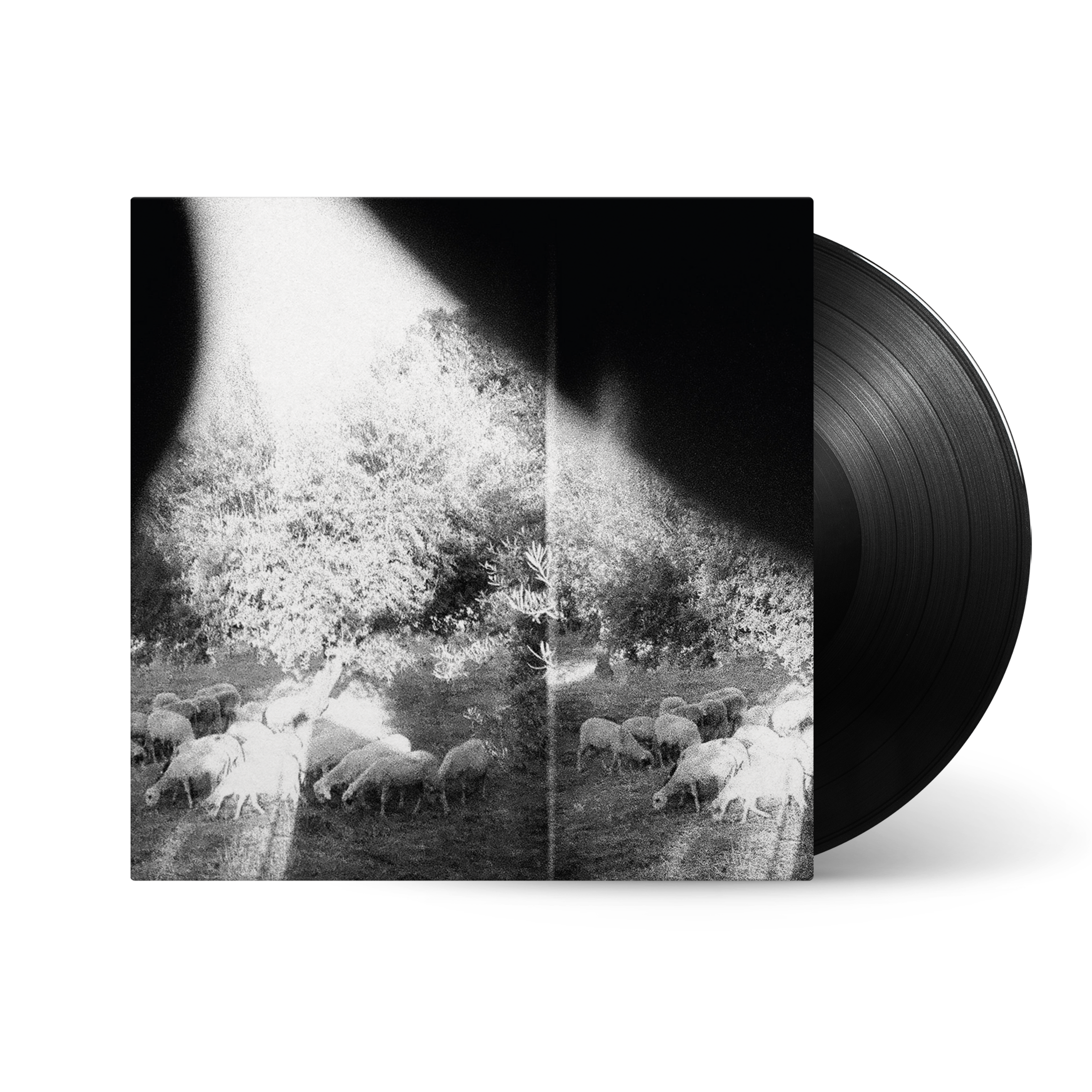 Asunder, Sweet And Other Distress: Vinyl LP