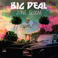 June Gloom: Vinyl LP