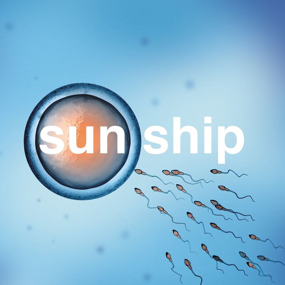 The Sun Ship: Numbered Honey Coloured Vinyl LP