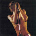 Raw Power: Vinyl LP