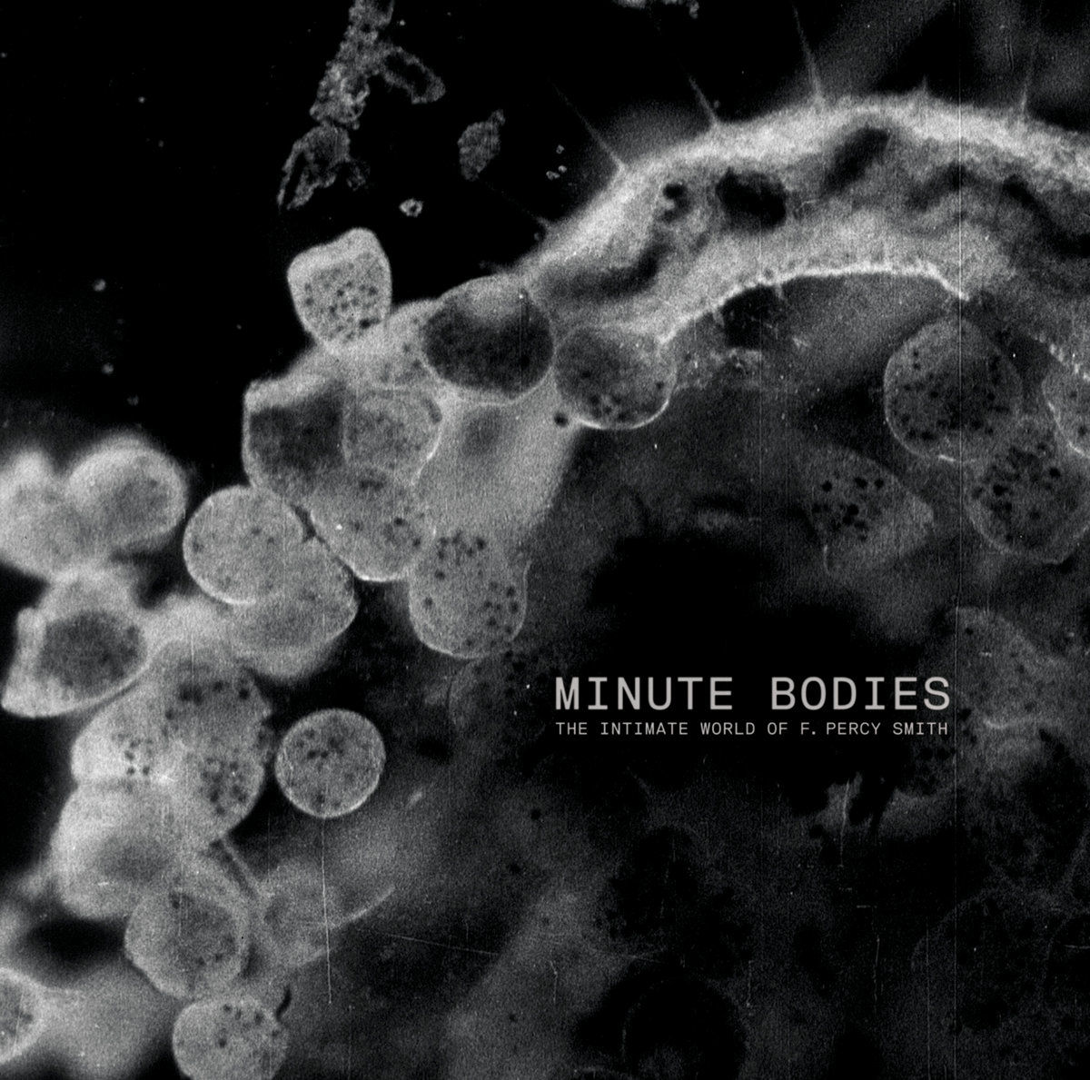 Minute Bodies - The Intimate World Of F. Percy Smith: CD + DVD