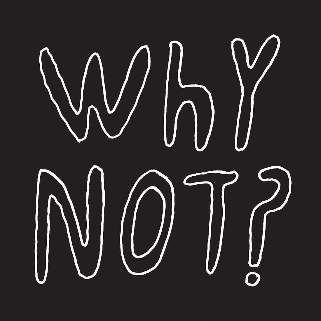 Why Not?: Vinyl LP